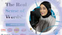 be your professional egyptian arabic voiceover