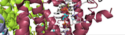 virtual screen 1000 ligands using molecular docking