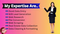 do professional excel data entry, formatting and web scraping