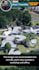 create stunning google earth videos of celebrities homes with details