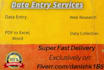 do fast and precise data entry and web research