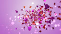 create valentine day romantic gift video for your love