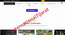 develop professional websites wordpress and custom solutions phd expert