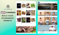 build wordpress ecommerce website with full functionality