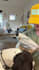 create a dog ugc video with the coolest big dog ever
