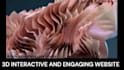 3d interactive website spline 3d website animation webflow expert 3d developer