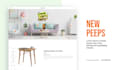 do a premium promo video ad for your website
