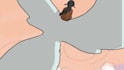 do 2d animation gifs and video editing