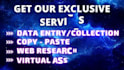 be your virtual assistant for data entry excel PDF typing