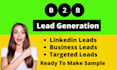 do b2b lead generation, b2b leads for your targeted niche or industries