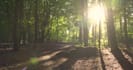 nature videos duration 20 seconds to 2 minutes