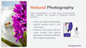 do brush up and visual enhancement for your presentation articles book etc