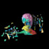 design and animate your holographic 3d animation