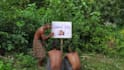 create funny birthday wish video with crazy dance