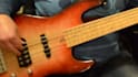 be your pro level session bass player