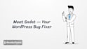 fix wordpress bugs and errors