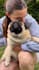 create pet content in italian