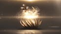 create golden lotus flower logo animation