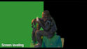 do video rotoscoping,cg background removal,chroma key, premiere pro film cleanup