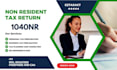 prepare and file your US non resident tax return 1040nr