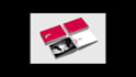 develop a premium brand identity with logo, guidelines, and visual strategy
