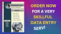 do a virtual assistant, data entry, brand logo design, data cleaning on excel