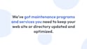 setup, edit, fix your amelia appointment plugin on your wordpress site