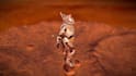 do 3d realistic character modeling, stylized, game character unity, ue5