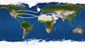create travel map route animation video