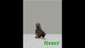 create 3d and 2d animations