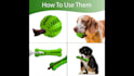 create great dog product photography