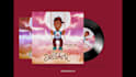 animate your album cover art for spotify motion canvas  cd