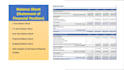 prepare financial forecast, projections, business plan and financial model