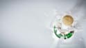 put your logo on a champagne cork 3d video intro or greeting