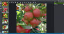 do image annotation with point