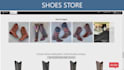 create and manage shopify dropshipping store