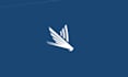 beautiful flat logo design with all files in 24h