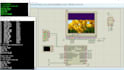 do pic microcontroller projects with assembly or c