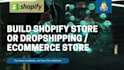 build shopify store or dropshipping ecommerce store