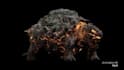 3d monster alien 3d creatures dinosaur dragon realistic model for printing, game