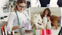 write ebooks on sewing