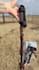 create authentic ugc videos for equestrian and horse products