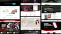 design and develop wordpress website and ecommerce store