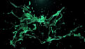 make liquid splash logo animation