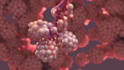 create 3d medical animation, 3d surgery animation, 3d anatomy animation