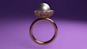 designing, rendering, modelling 3d jewelry in 24 hours