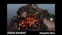 create animations for you, including cartoons, vfx, creatures, and game