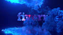 do amazing logo intro video smoke