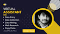 spend 2 hours for data entry, web research, copy paste as per your instructions