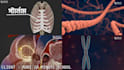 create 3d explainer videos,academic,medical or mechanical